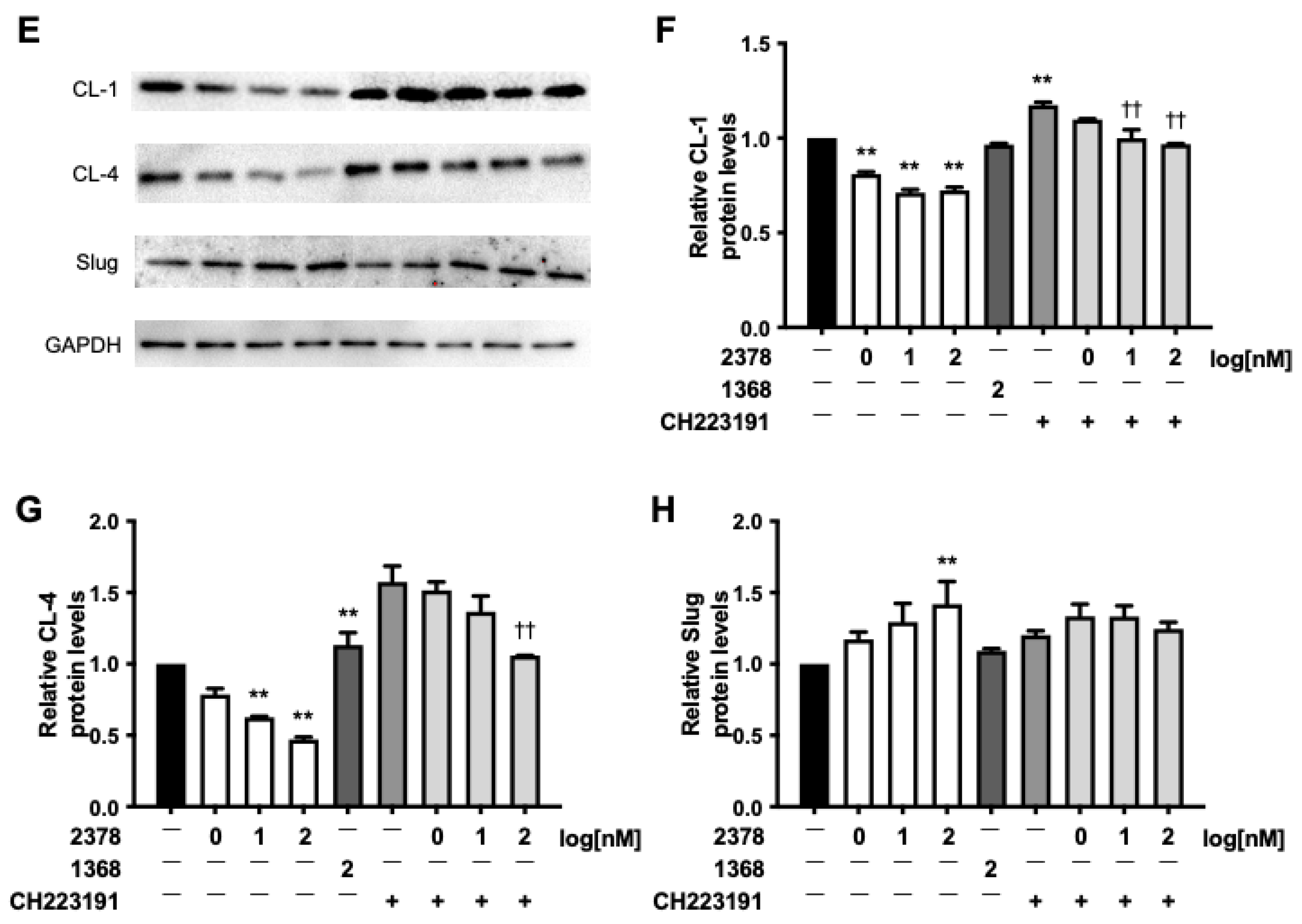 Toxics 13 00993 g003b