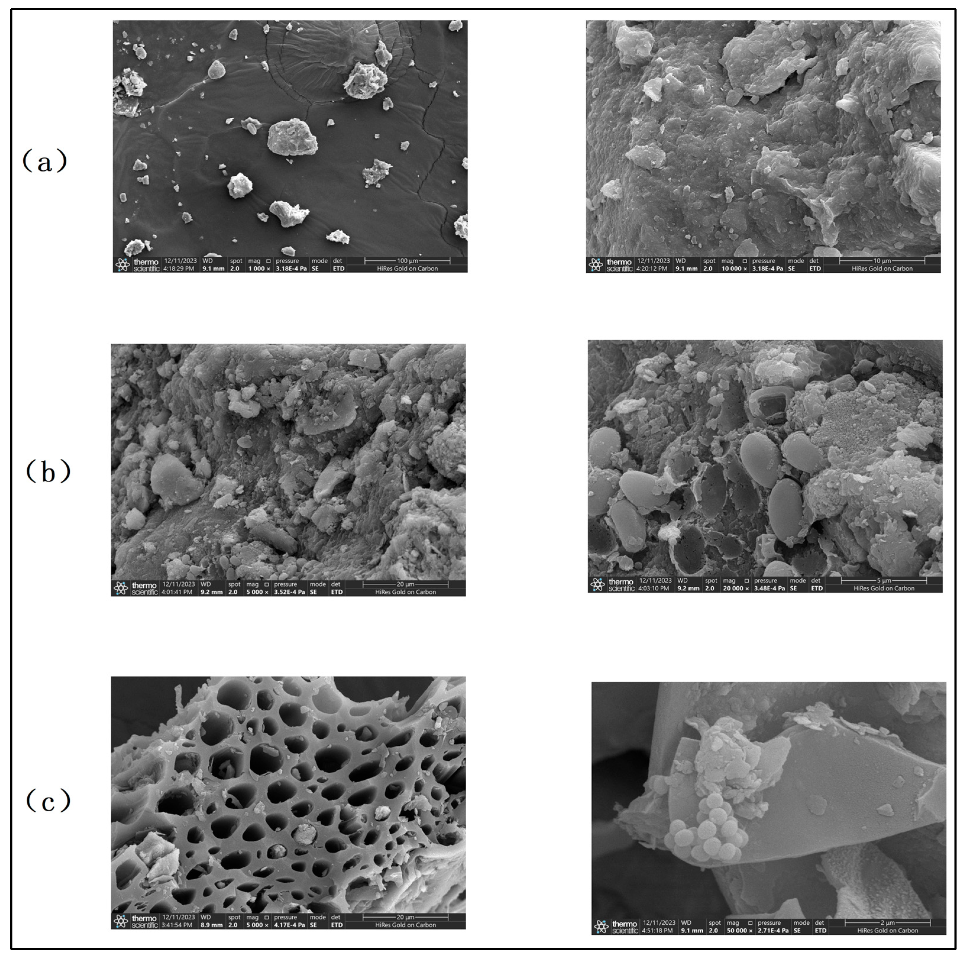 Toxics 13 00997 g012 Toxics 13 00997 g012