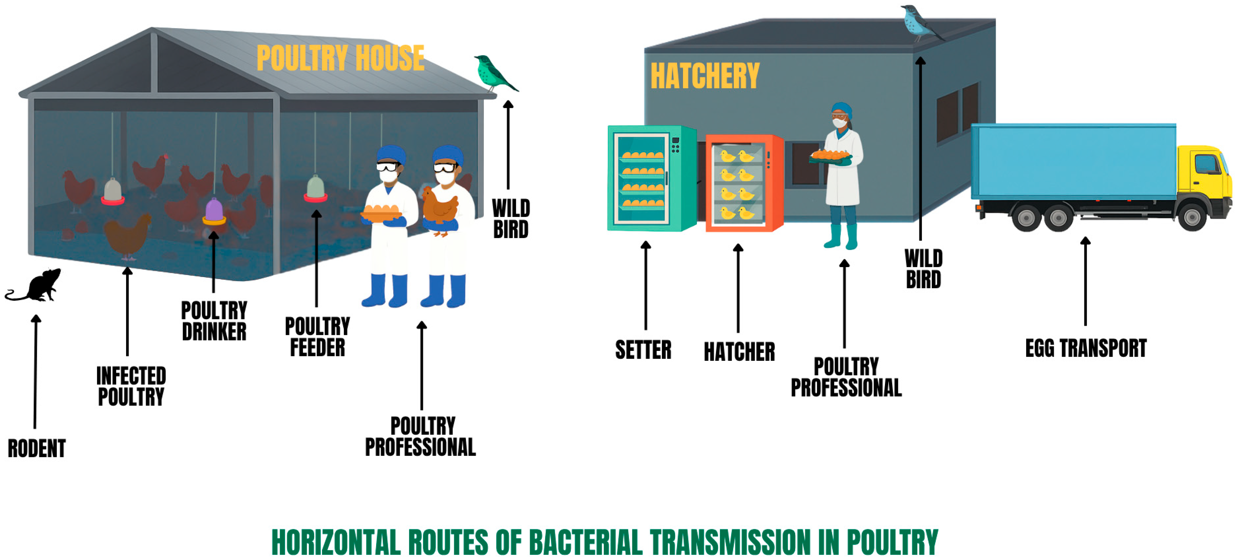 Toxics 13 01003 g001 Toxics 13 01003 g001