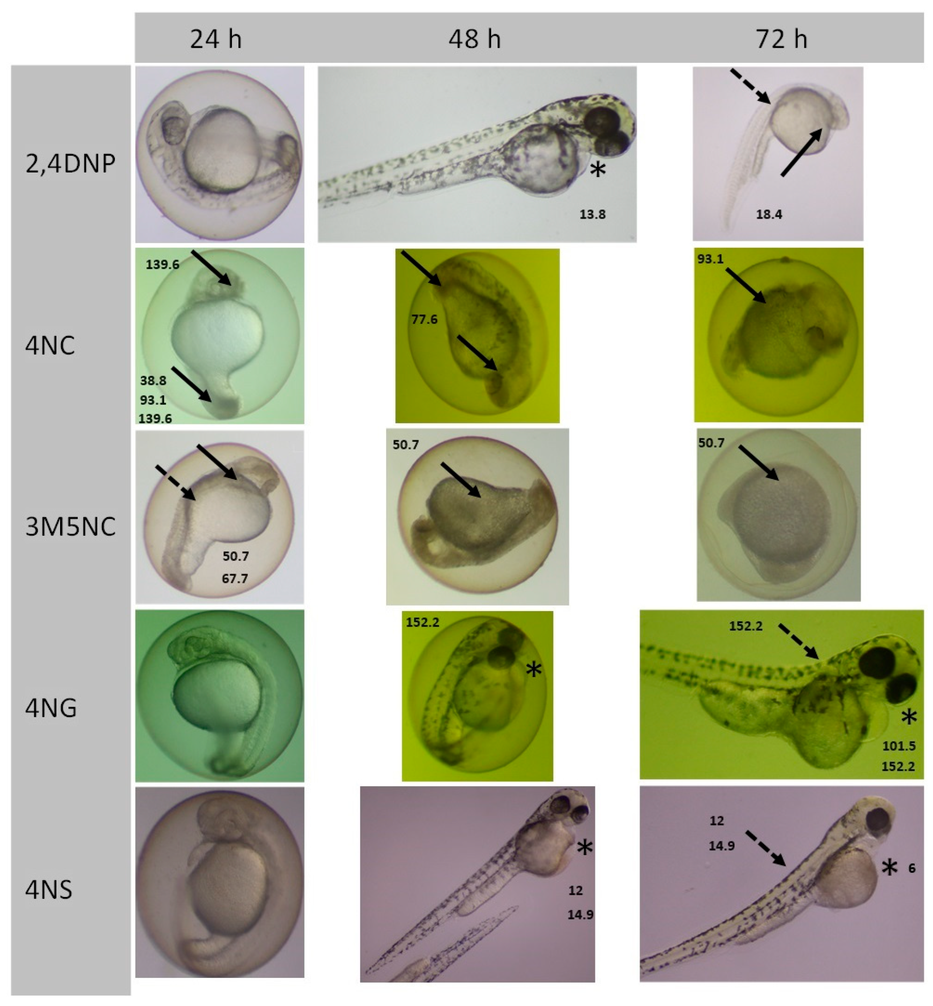 Toxics 13 01037 g003