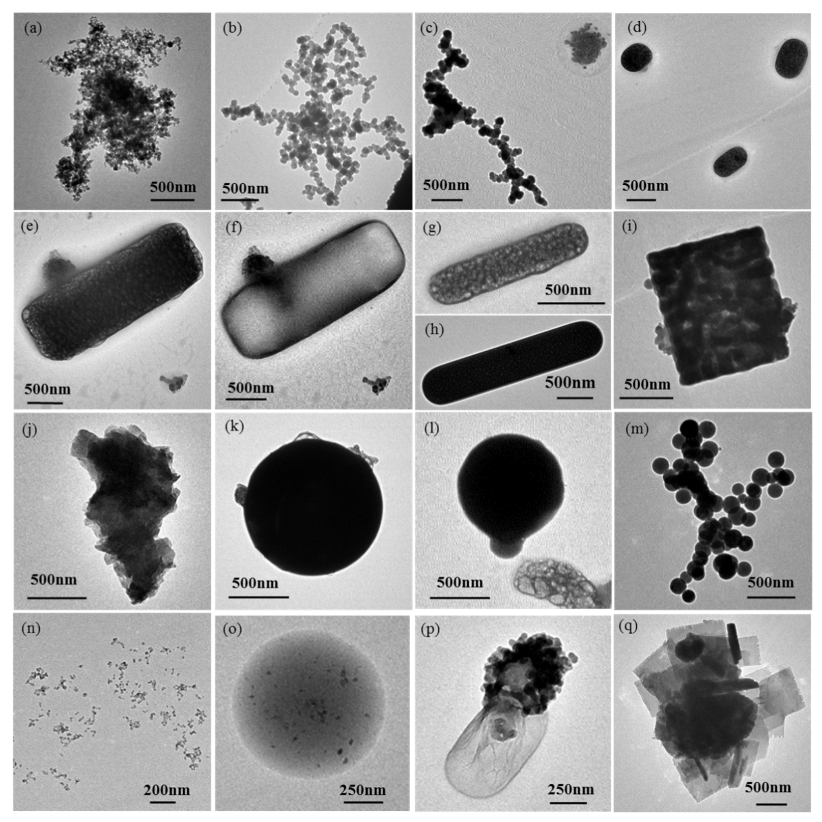 Toxics 13 01051 g004 Toxics 13 01051 g004