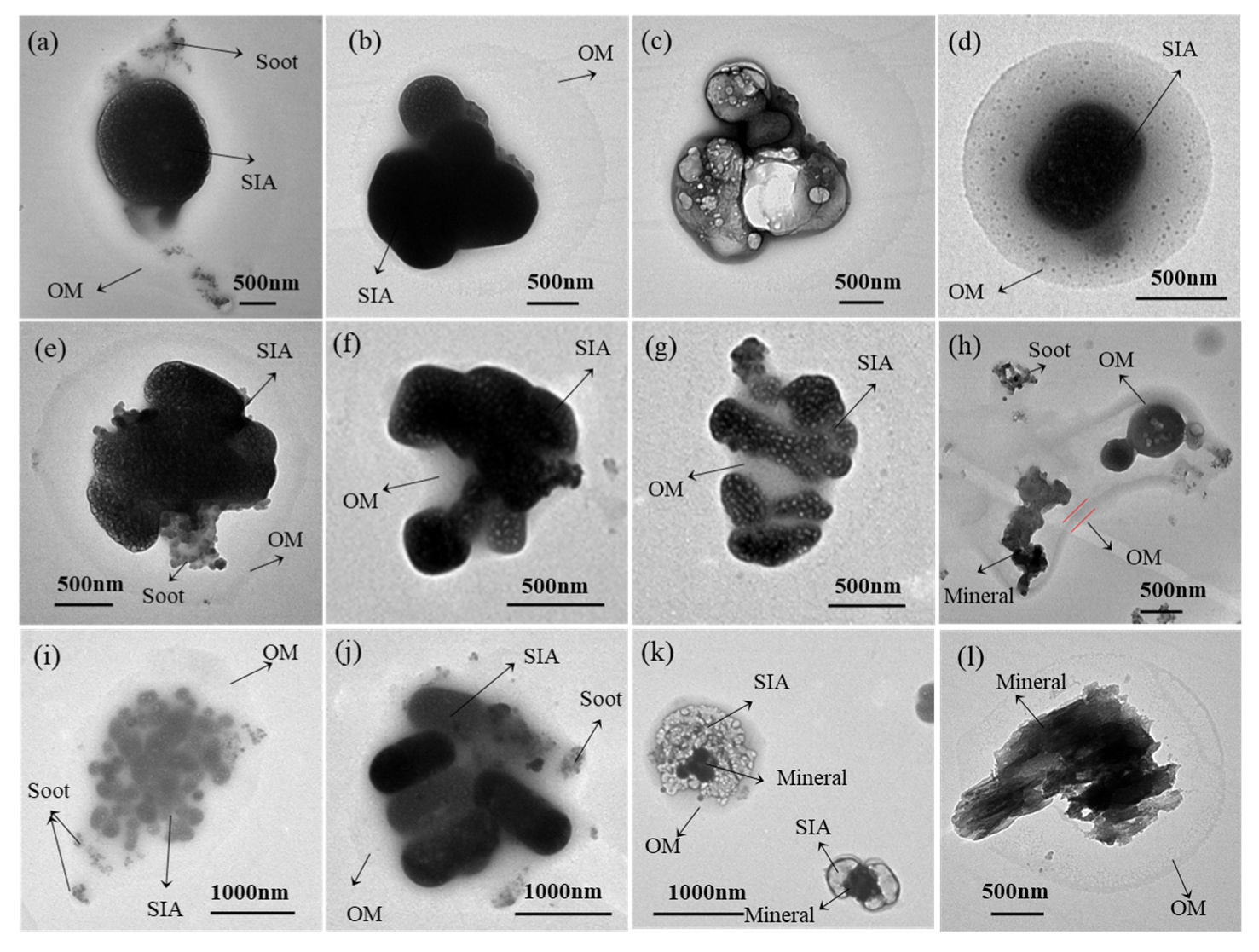 Toxics 13 01051 g007 Toxics 13 01051 g007