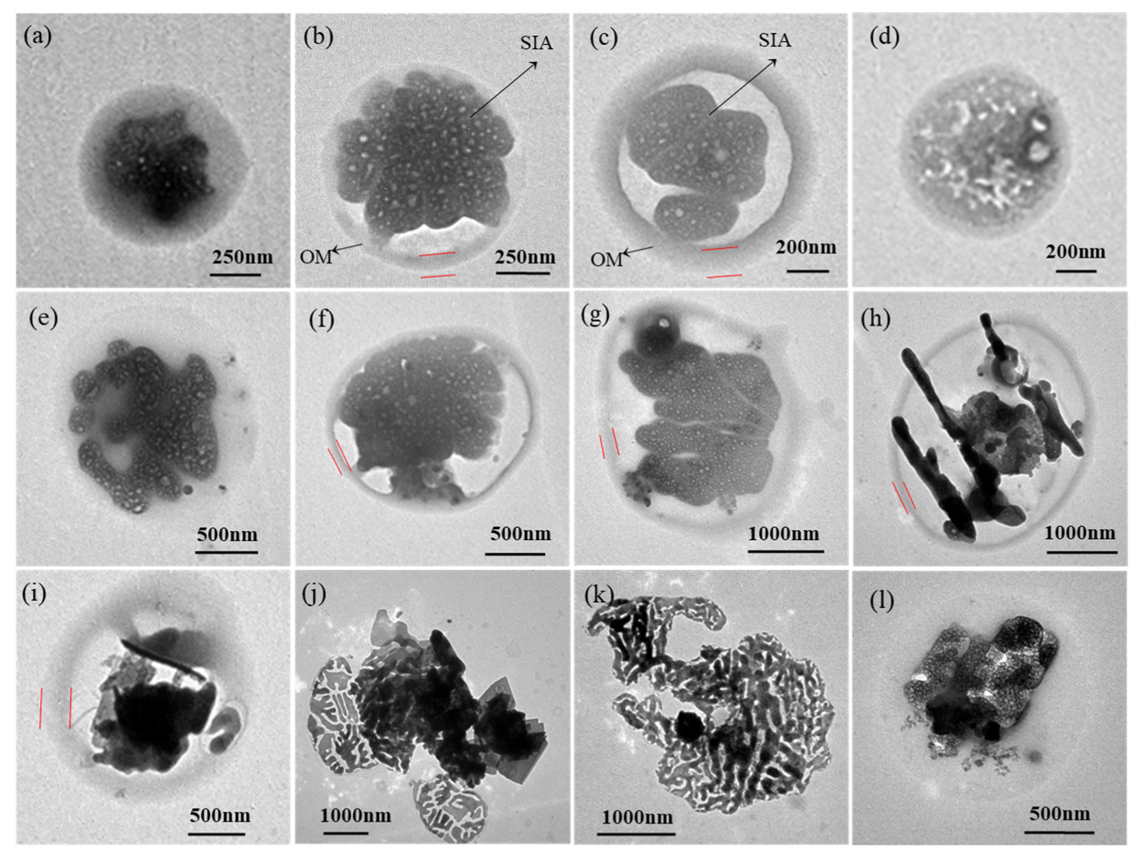 Toxics 13 01051 g009 Toxics 13 01051 g009