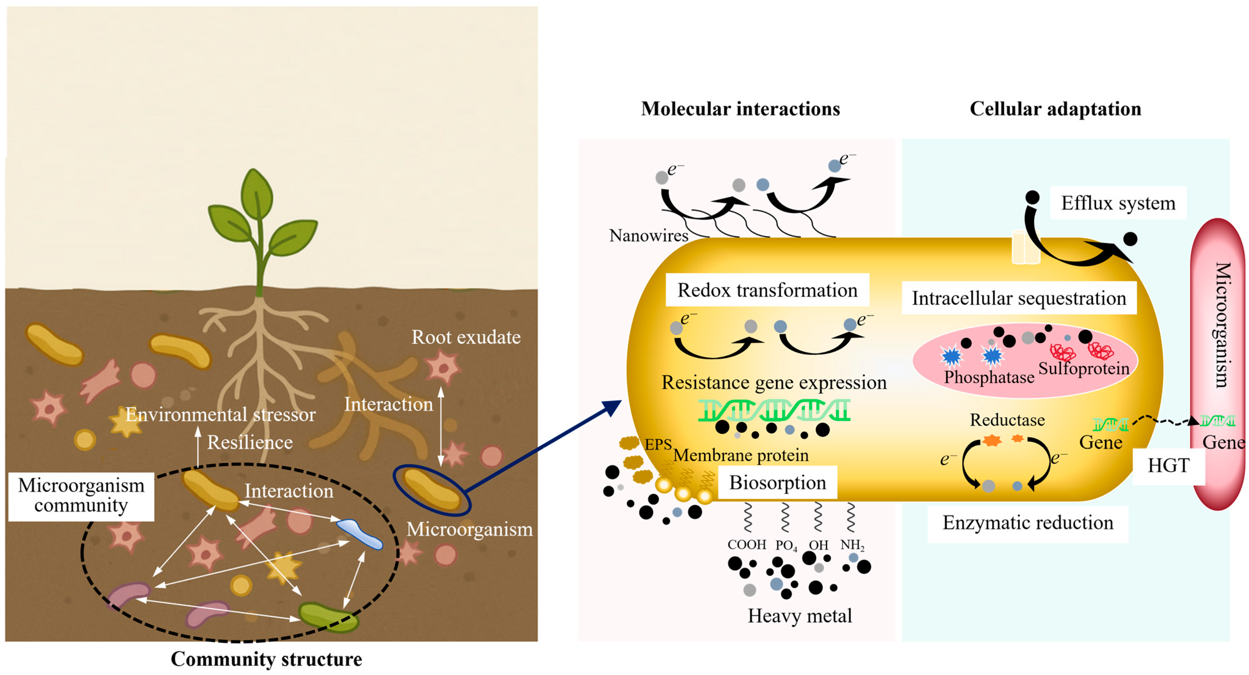 Toxics 13 01069 g002 Toxics 13 01069 g002