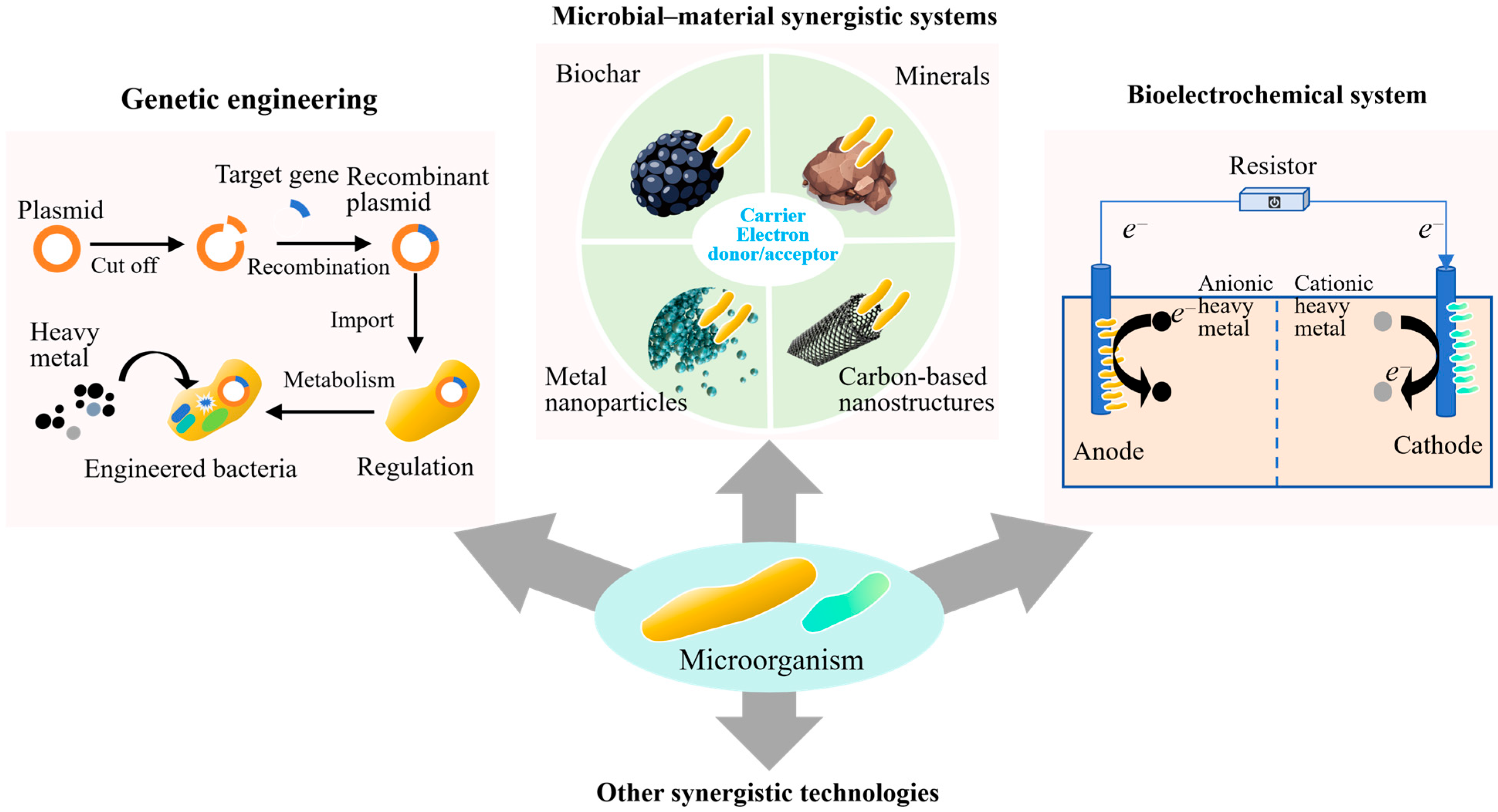 Toxics 13 01069 g003 Toxics 13 01069 g003