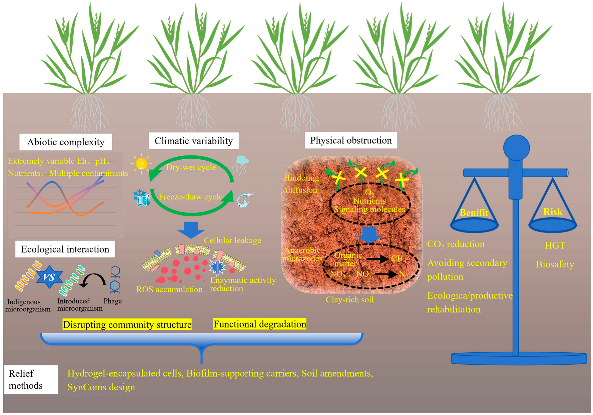 Toxics 13 01069 g004 Toxics 13 01069 g004
