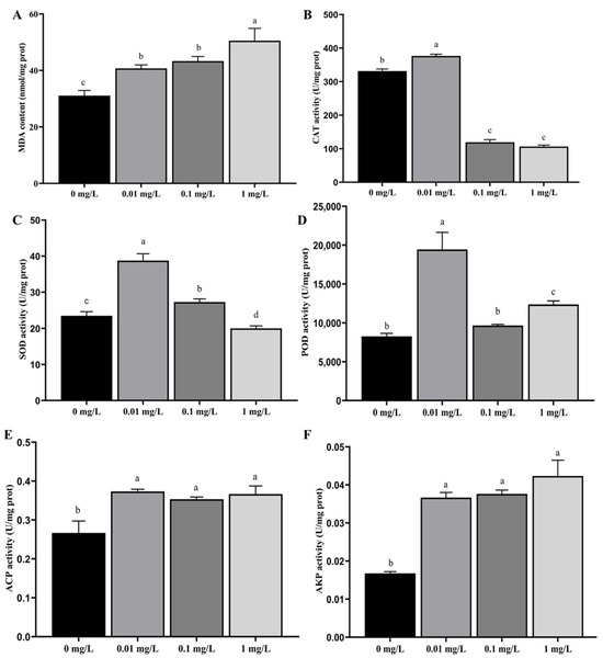 Toxics 13 01075 g001