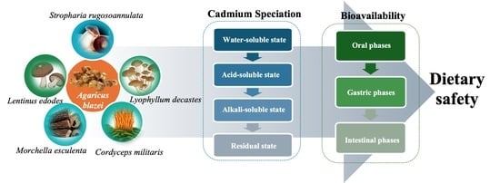 Analysis of cadmium content in different edible mushroom fruiting bodies. A: L. edodes; B: S. rugosoannulata; C: M. esculenta; D: C. militaris; E: L. decastes; F: A. blazei. Different lowercase letters represent significant differences (p < 0.05).