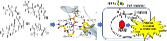Chemical structures of PFAAs: (a) PFBA; (b) PFHxA; (c) PFHpA; (d) PFNA; (e) PFDA; (f) PFUnDA; (g) PFDoDA; (h) PFTeDA; (i) PFHxDA; (j) 3m-PFOA; (k) 4m-PFOA; (l) 3,3m2-PFOA; (m) 4,4m2-PFOA; (n) PFBS; (o) PFHxS; (p) 1m-PFOS; (q) 2m-PFOS; (r) 3m-PFOS; (s) 4m-PFOS; (t) 5m-PFOS.