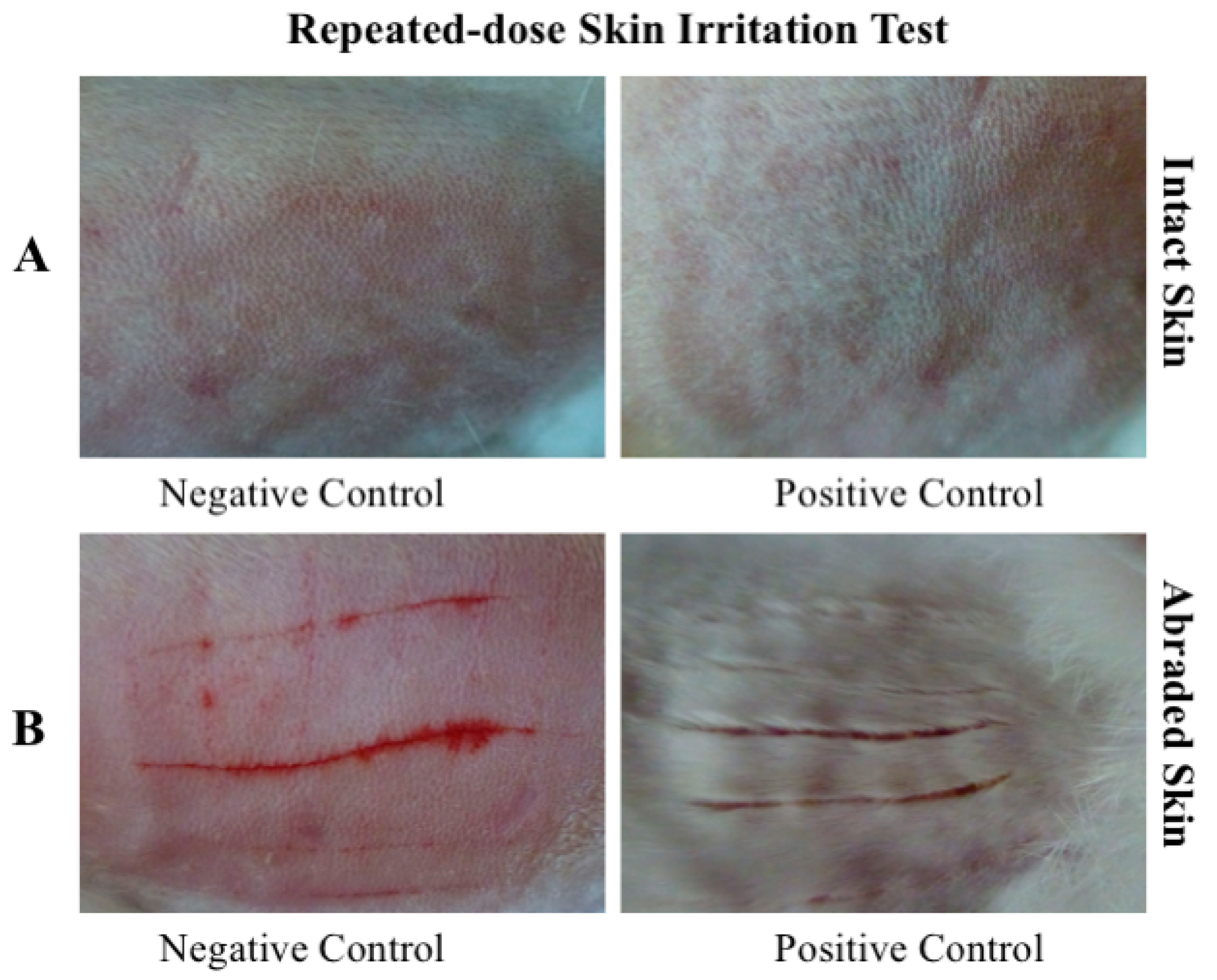 Toxics 14 00069 g004 Toxics 14 00069 g004