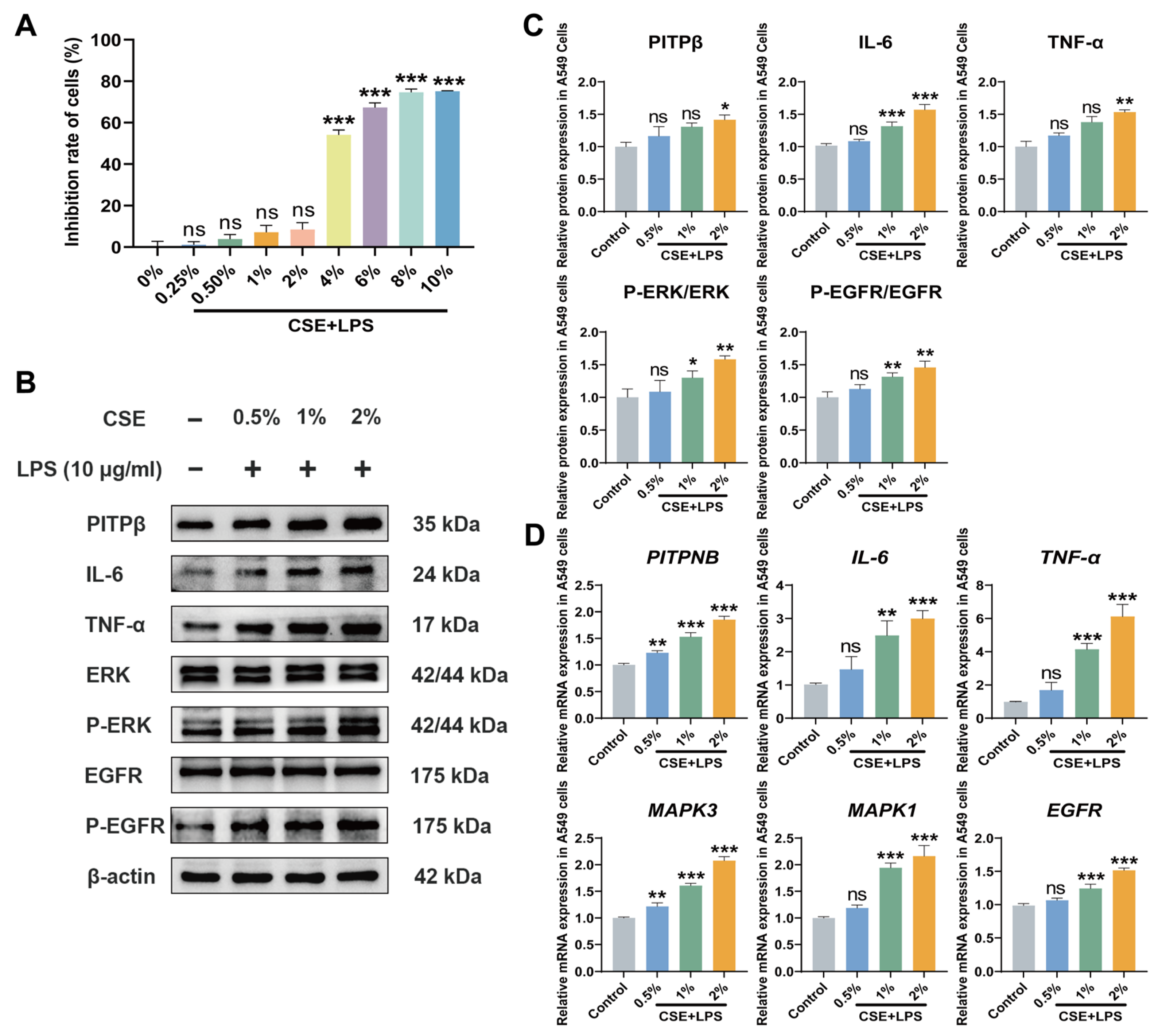 Cigarette Smoke Extract Combined with LPS Upregulates PITPβ Expression ...