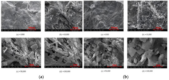 Toxics 14 00200 g003a Toxics 14 00200 g003a