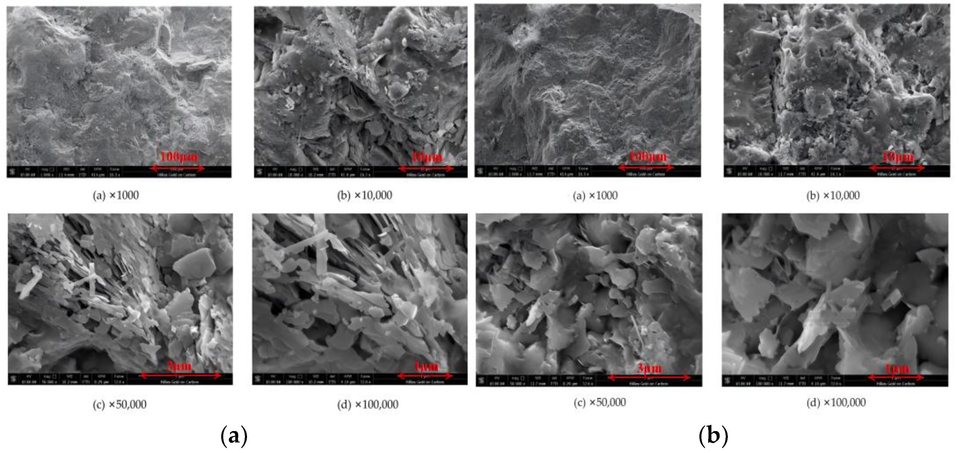 Toxics 14 00200 g003a Toxics 14 00200 g003a