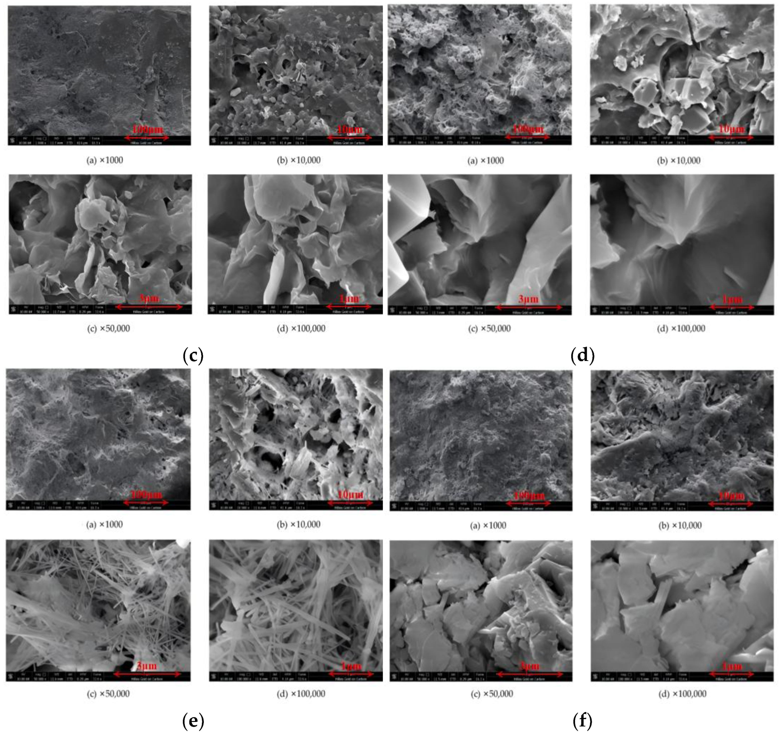 Toxics 14 00200 g003b Toxics 14 00200 g003b