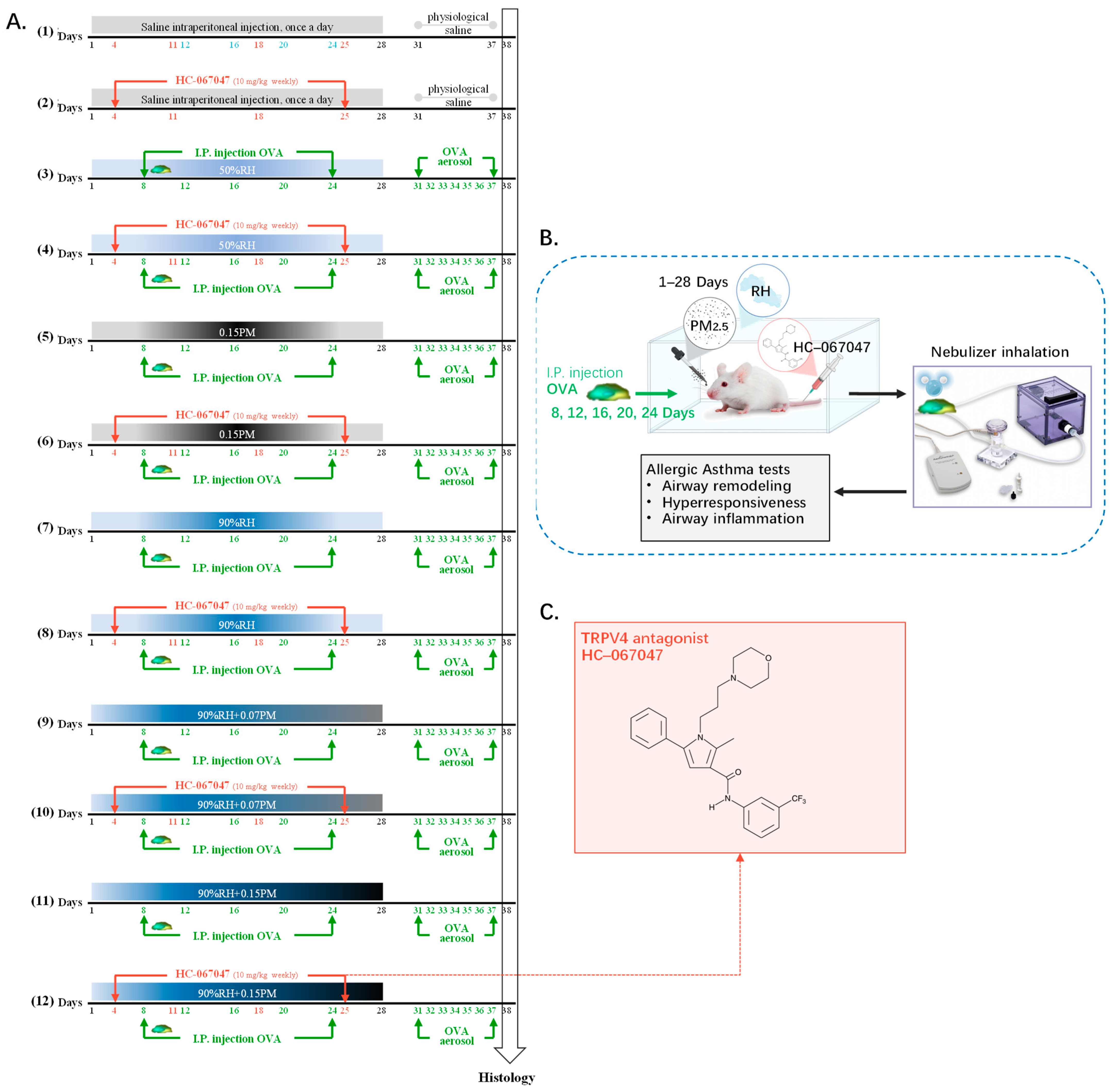 Toxics 14 00219 g001