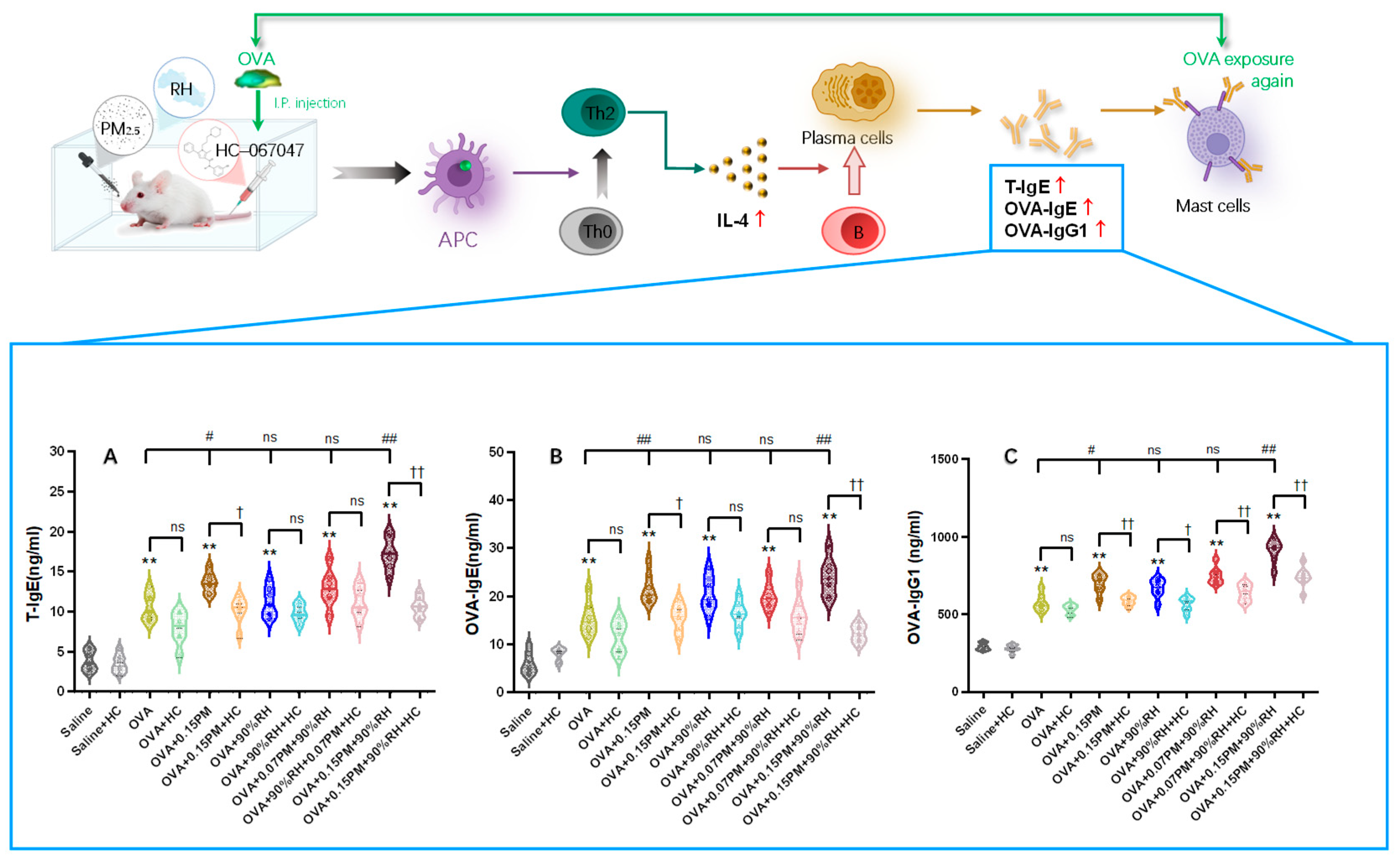 Toxics 14 00219 g002