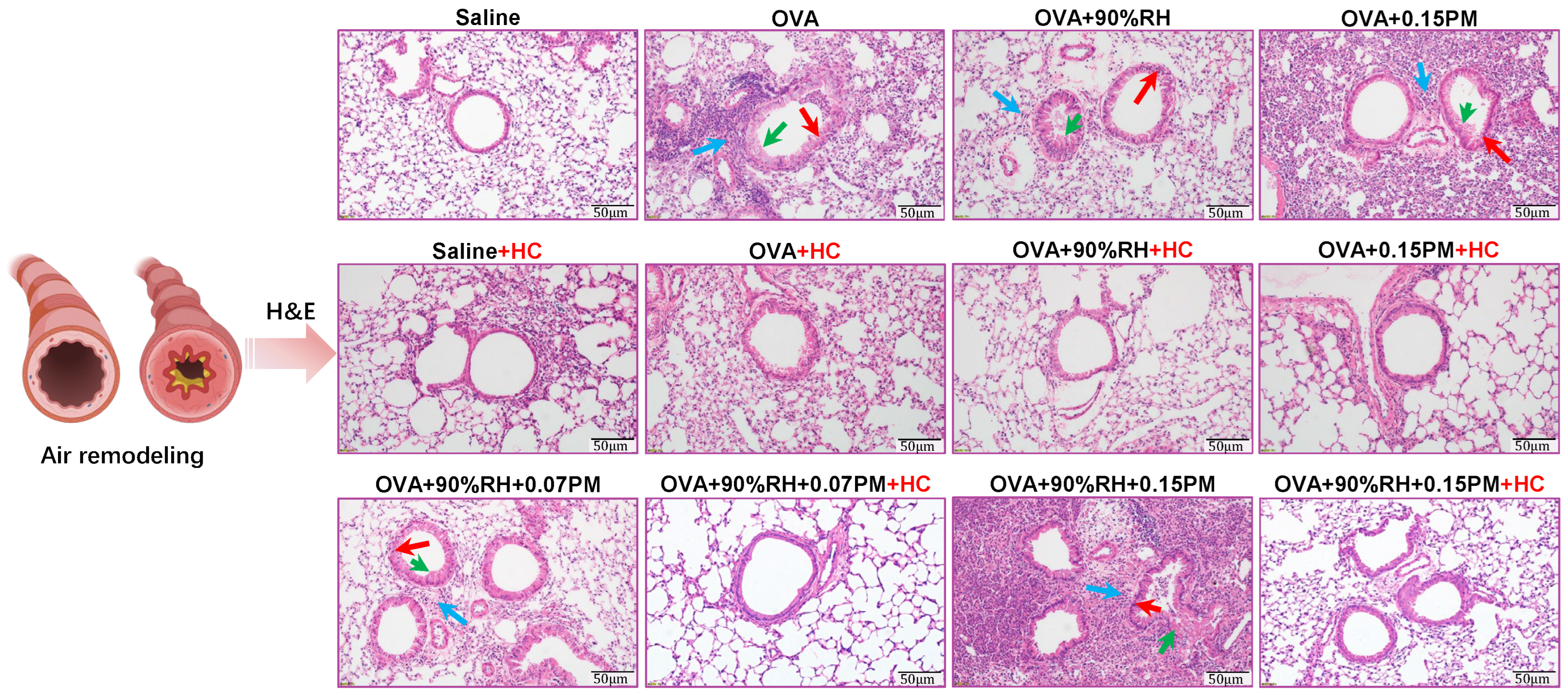Toxics 14 00219 g004