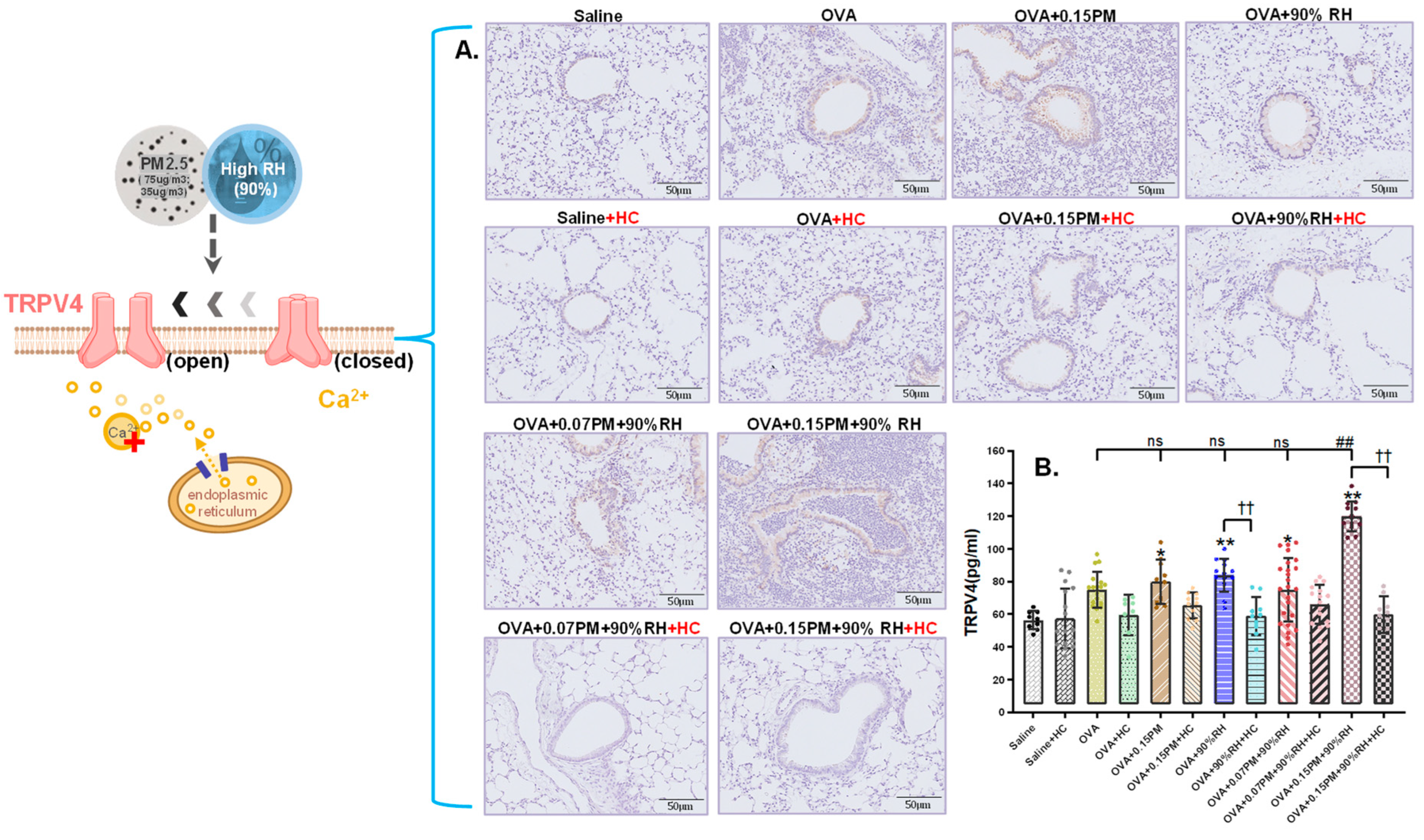 Toxics 14 00219 g006