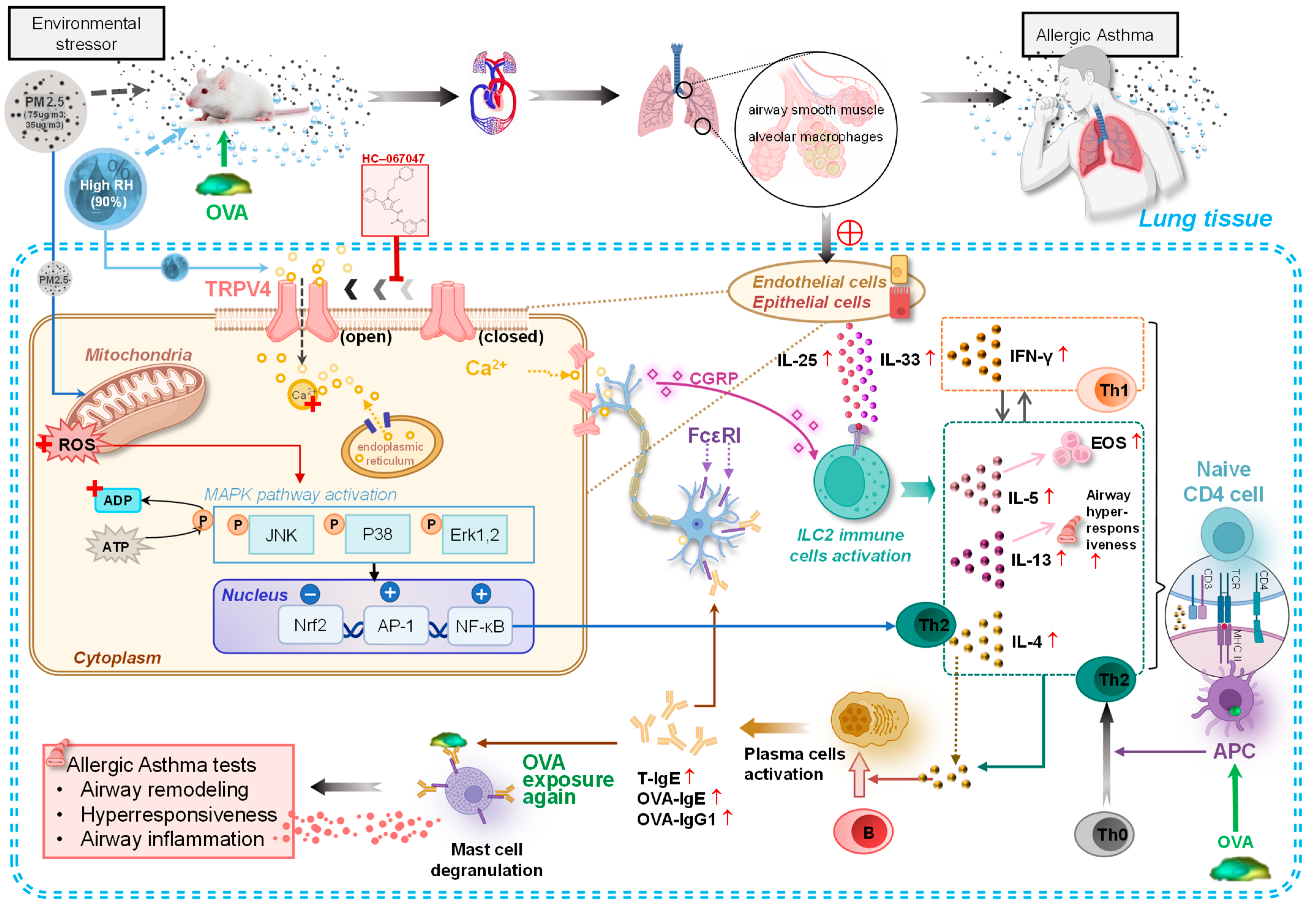 Toxics 14 00219 g009