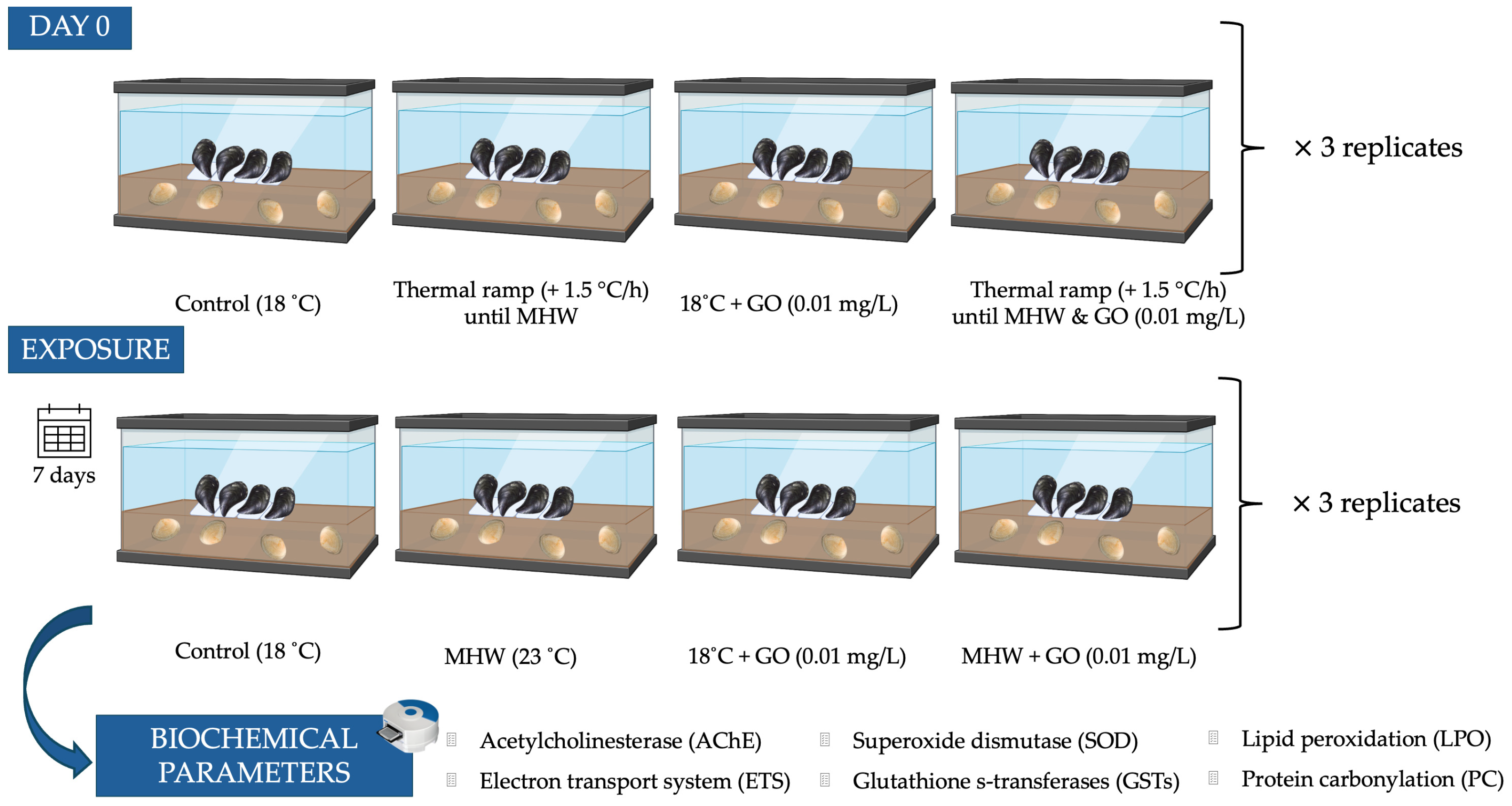 Toxics 14 00339 g001 Toxics 14 00339 g001