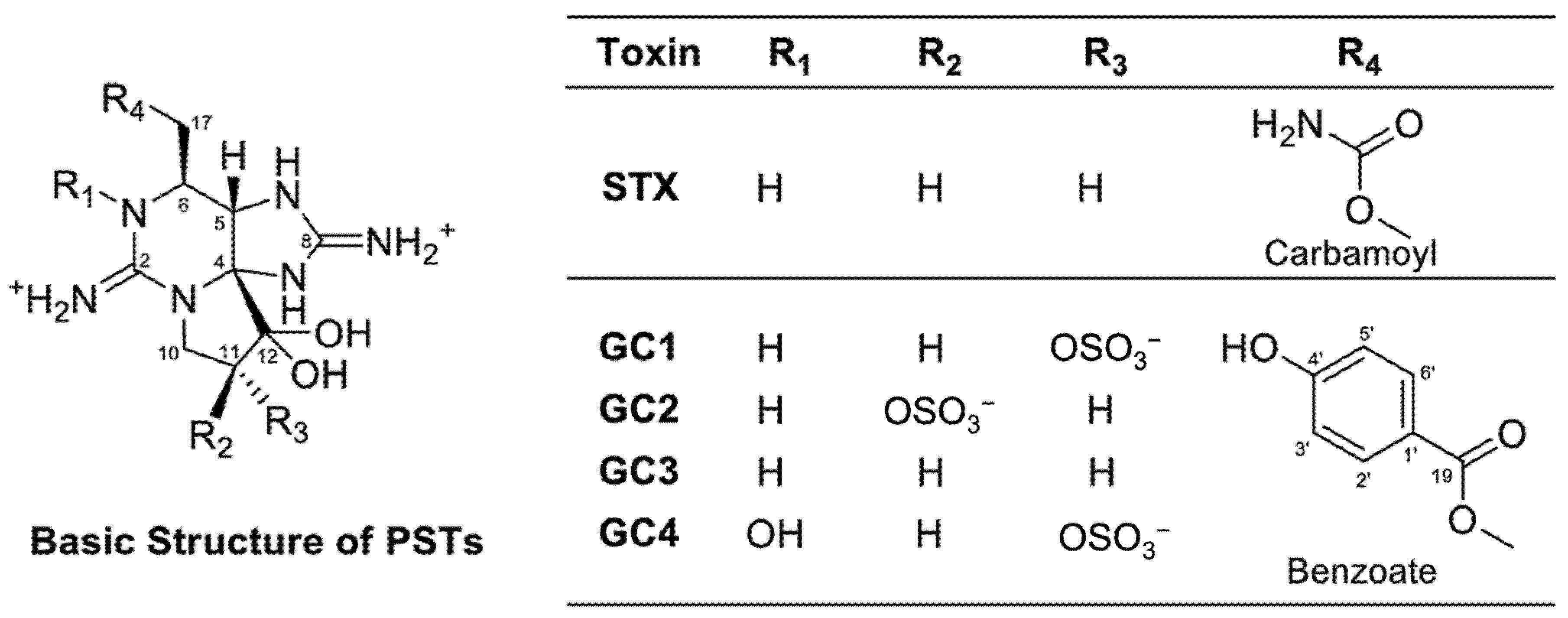 Toxics 14 00784 g004 Toxics 14 00784 g004