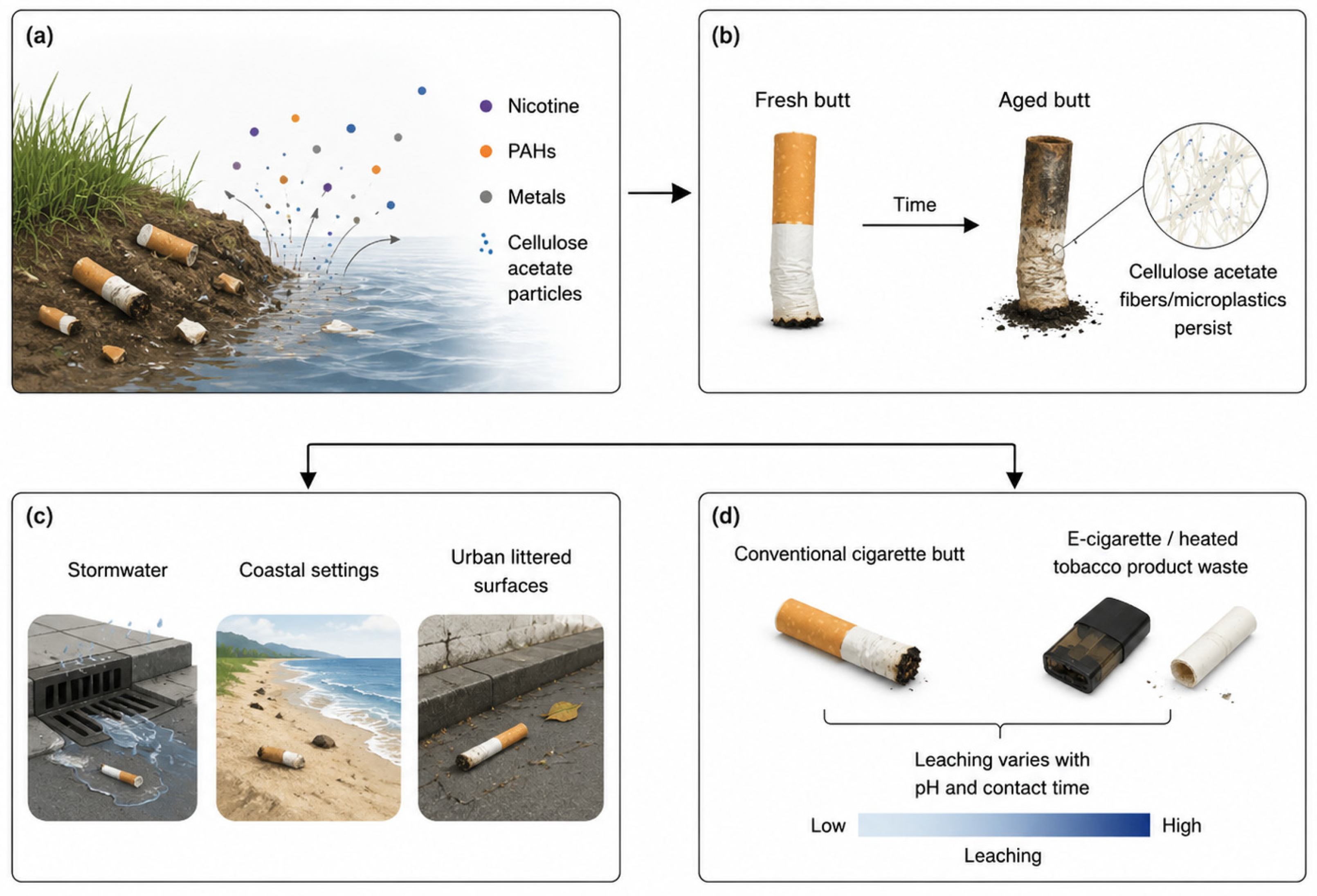 Toxics 14 00846 g002 Toxics 14 00846 g002