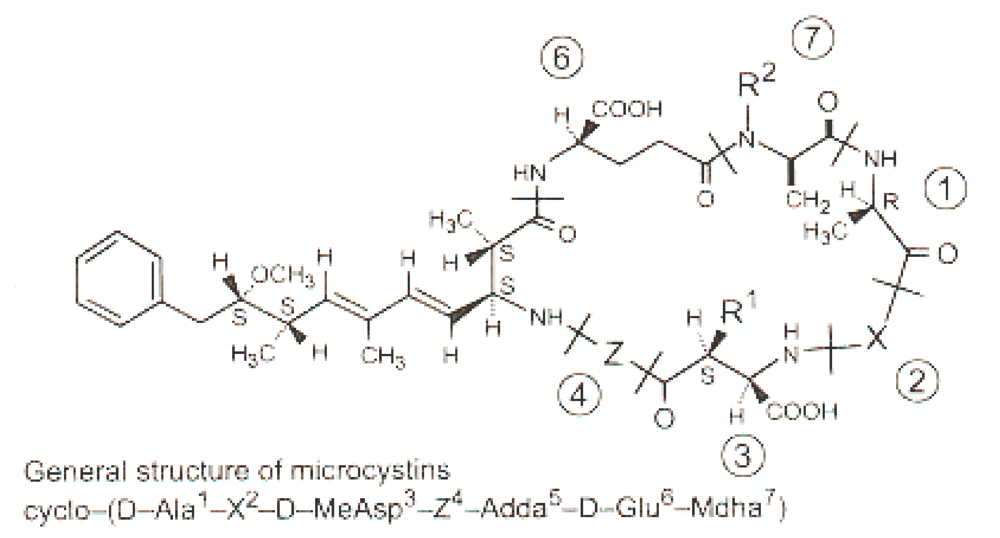 Toxins 01 00113 g001 1024