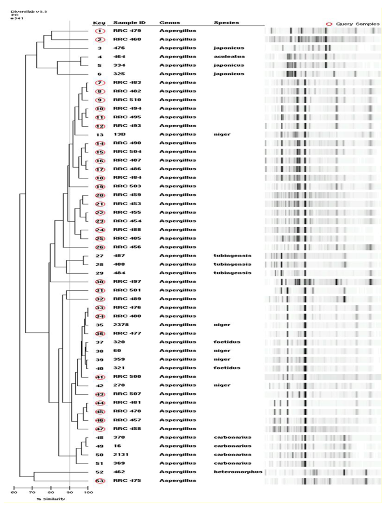 Toxins 02 00399 g001