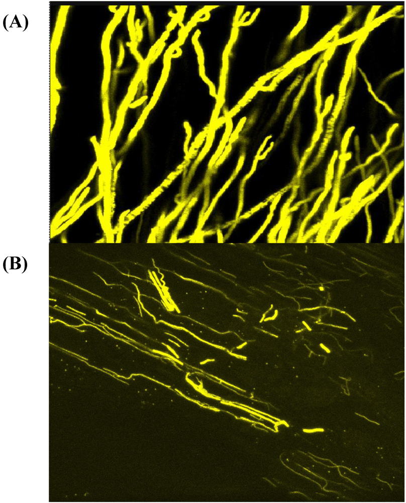 Toxins 02 00399 g002 1024