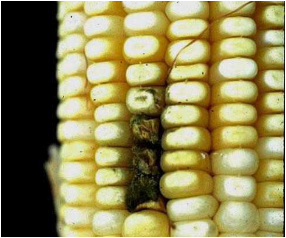 Toxins 02 00399 g003