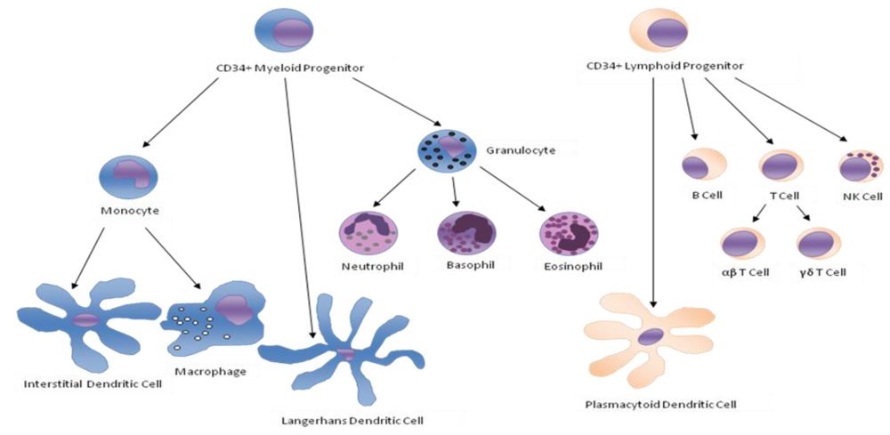 Toxins 02 00428 g001 1024