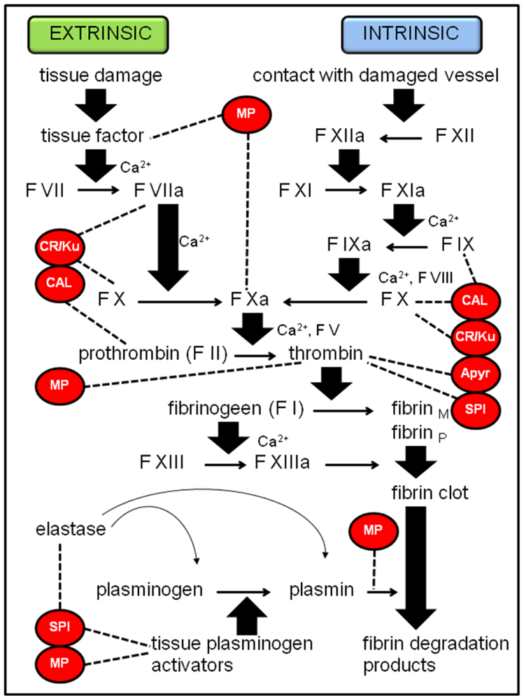 Toxins 02 00494 g003 1024