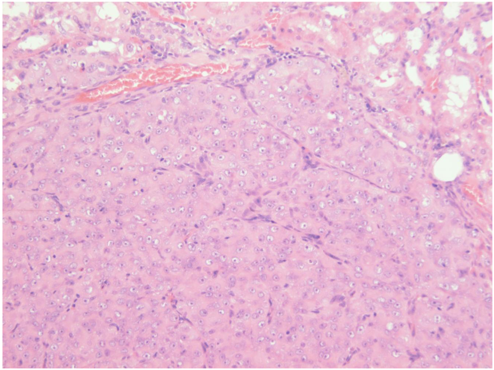 Toxins 02 00552 g008 1024