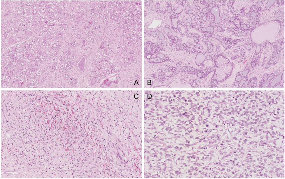 Toxins 02 00552 g011