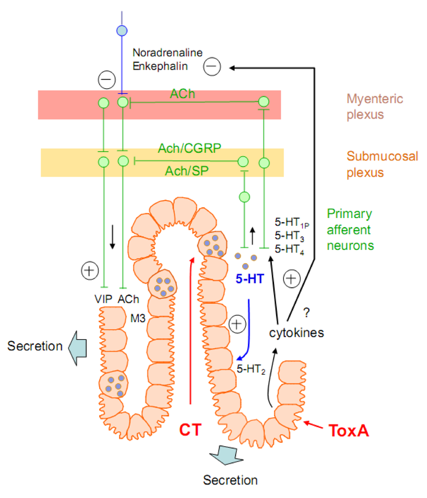 Toxins 02 00683 g003