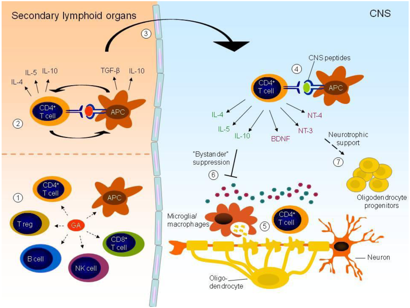 Toxins 02 00856 g001