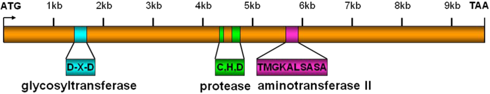 Toxins 02 00954 g001