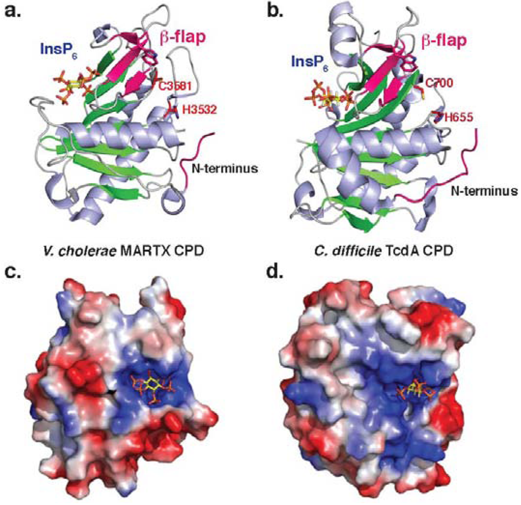 Toxins 02 00963 g002
