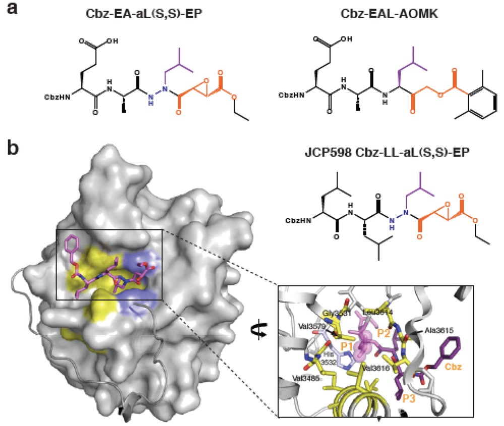 Toxins 02 00963 g004 1024