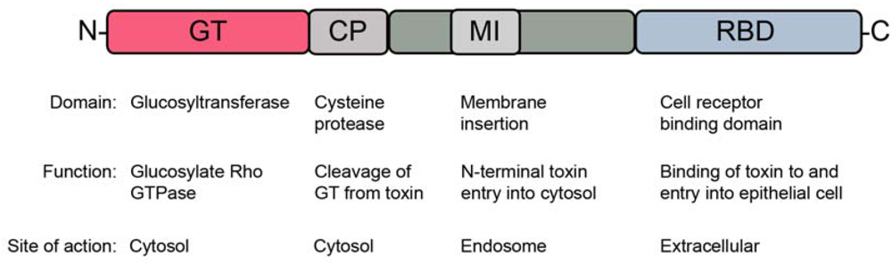 Toxins 02 00998 g001 1024