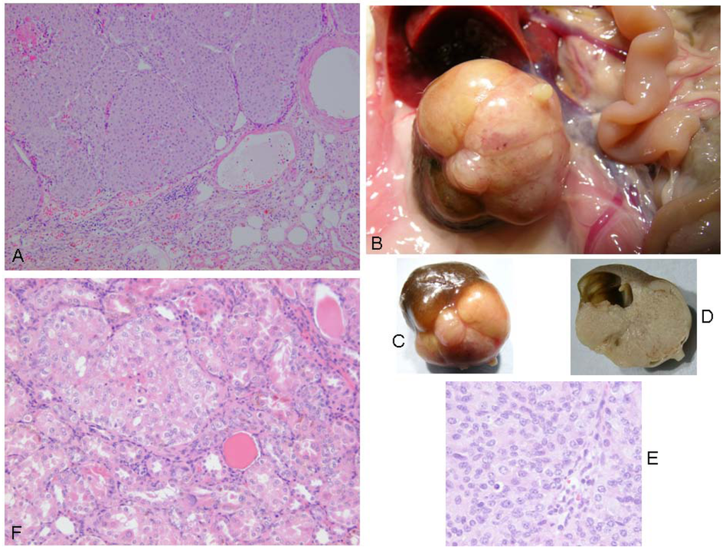 Toxins 02 01100 g006 1024