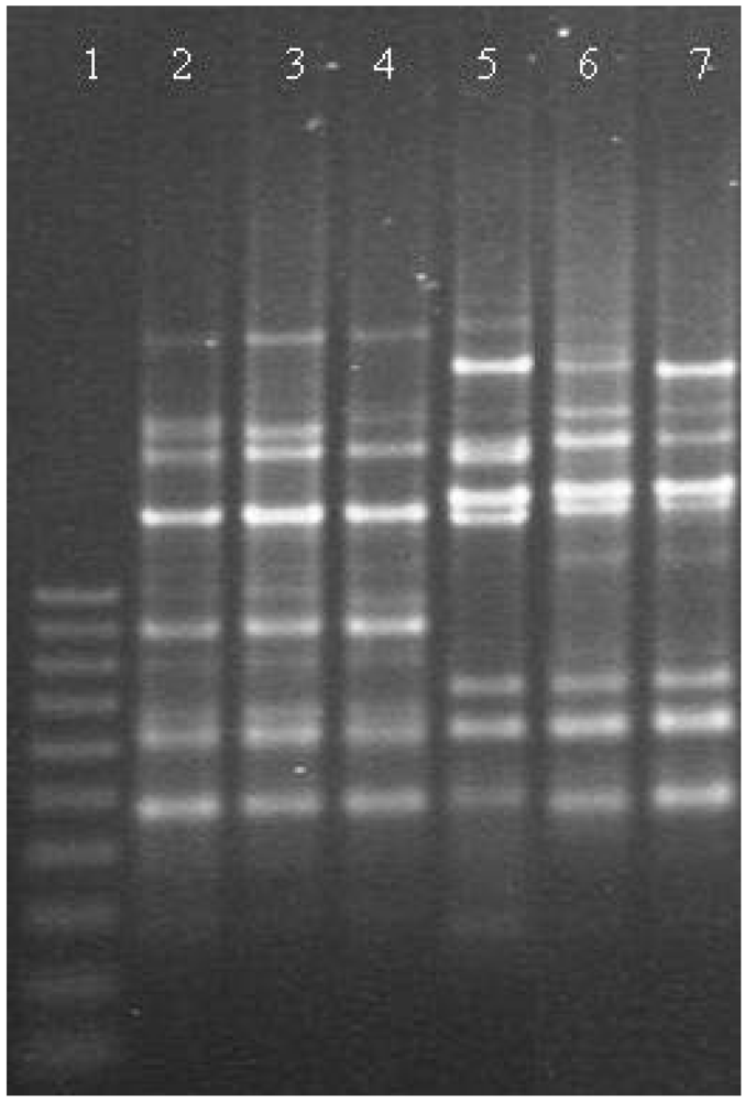 Toxins 02 01111 g002 1024