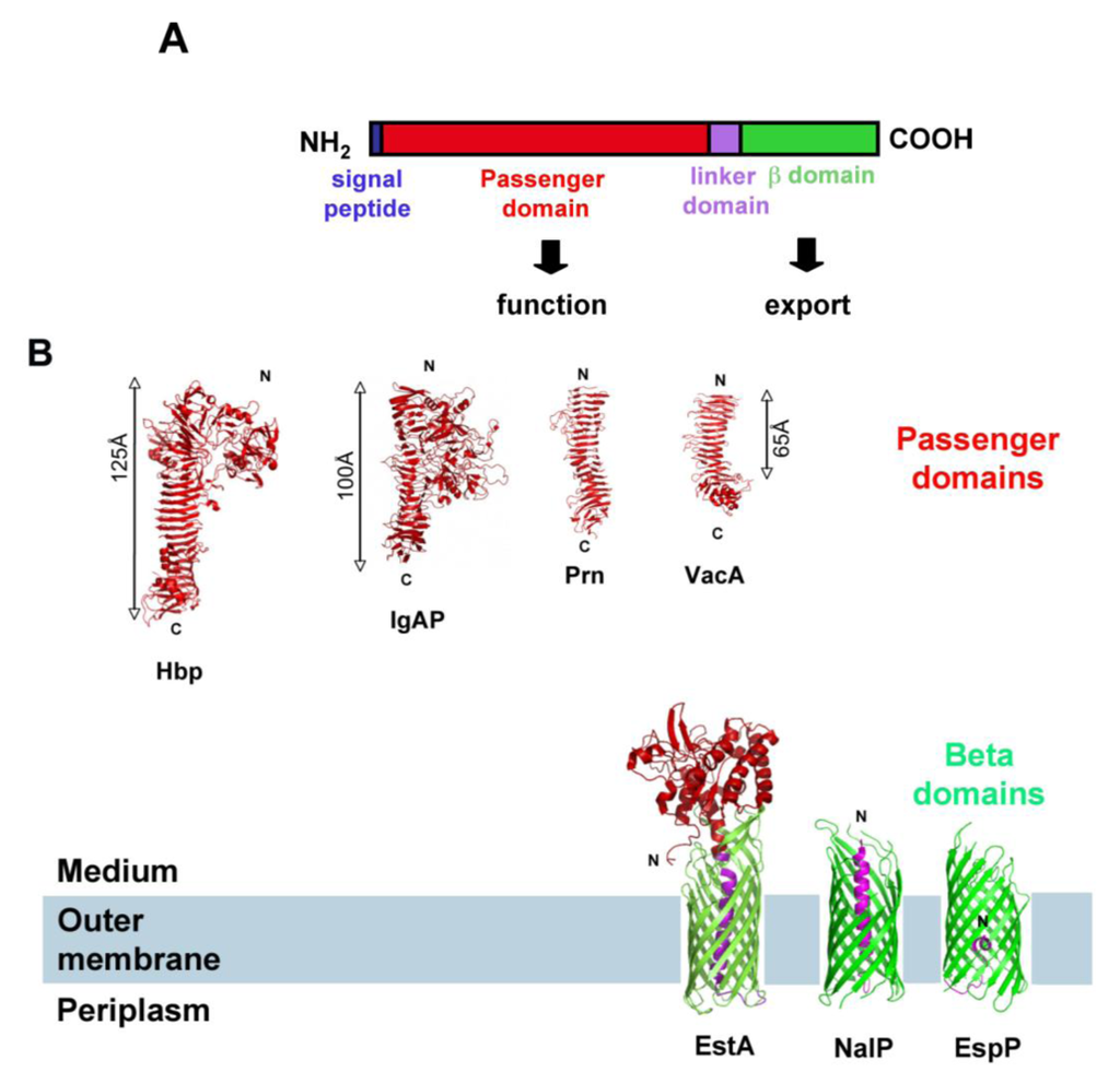 Toxins 02 01179 g001 1024