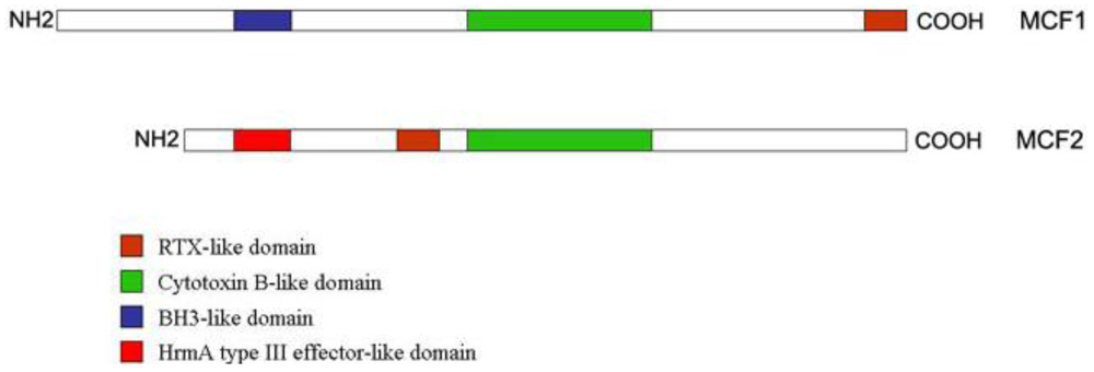 Toxins 02 01250 g001 1024
