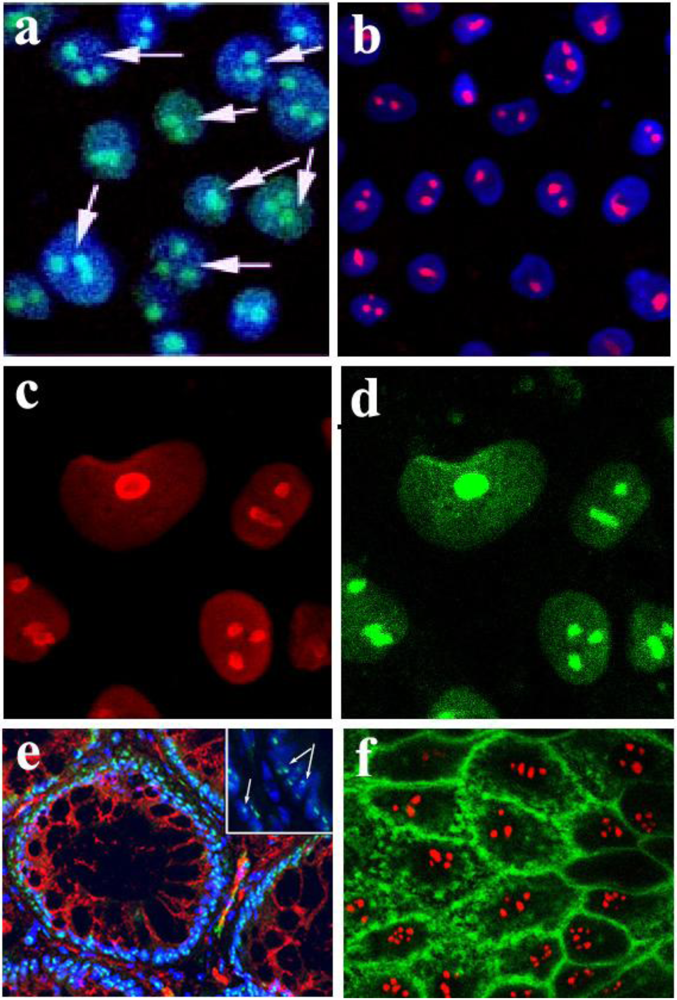 Toxins 02 01318 g001 1024