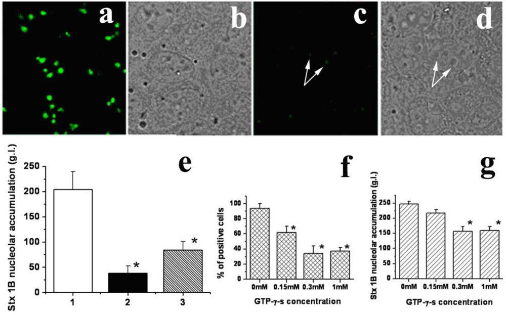 Toxins 02 01318 g005 1024