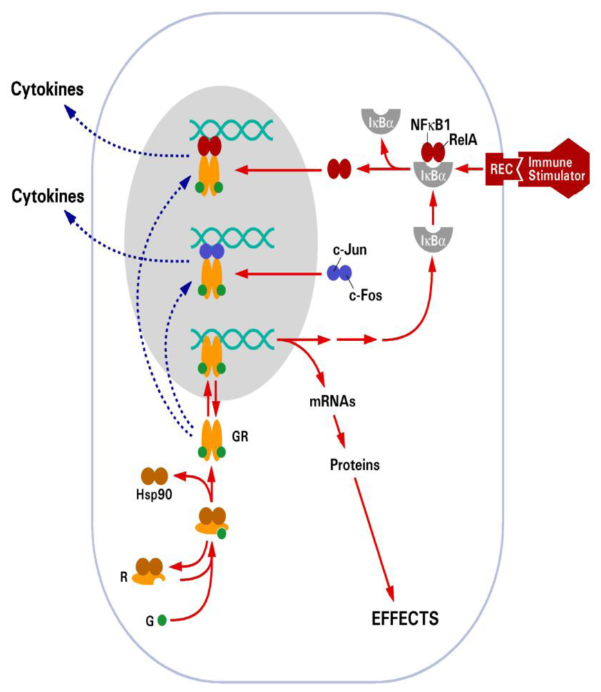 Toxins 02 01357 g002 1024