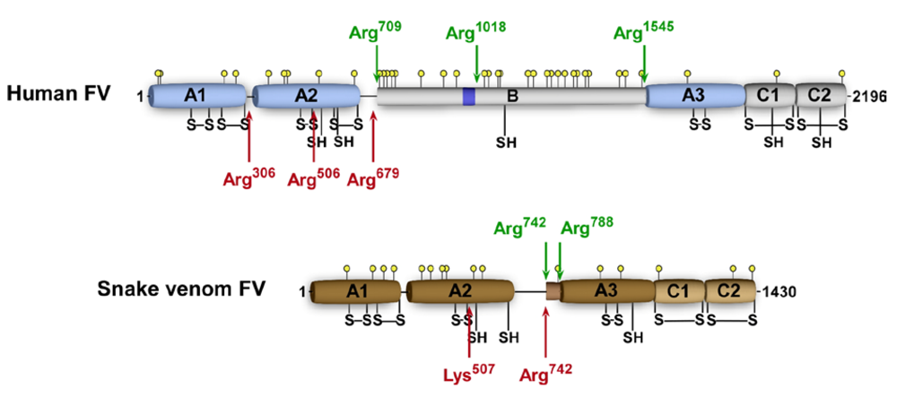 Toxins 02 01554 g002 1024