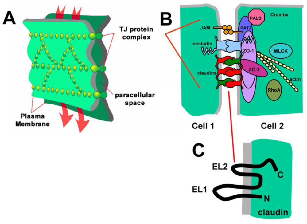 Toxins 02 01595 g001 1024