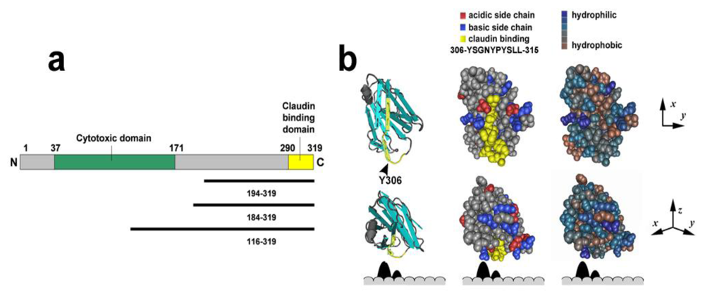 Toxins 02 01595 g003